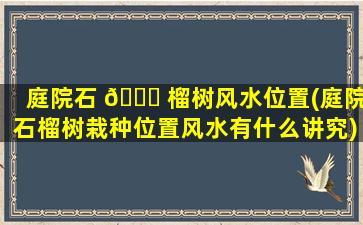 庭院石 🐈 榴树风水位置(庭院石榴树栽种位置风水有什么讲究)